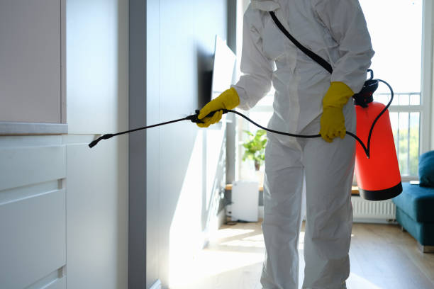 Best Mold Testing and Removal  in Mead, CO