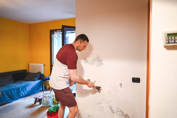 Best Best Mold Removal Companies  in Mead, CO